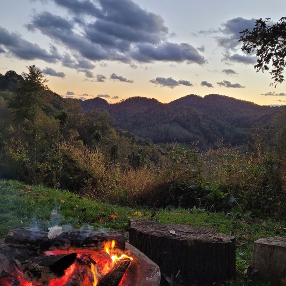 Meet your Posher, Karen - Picture 1 of 1